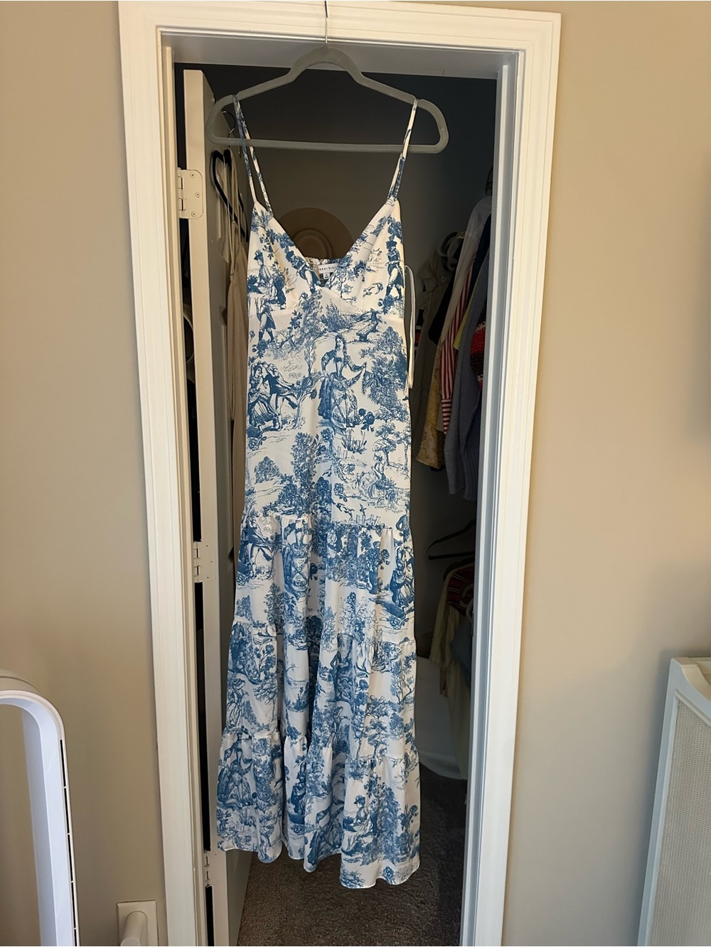Giani Bini Blue and White Toile Dress - Spaghetti Strap